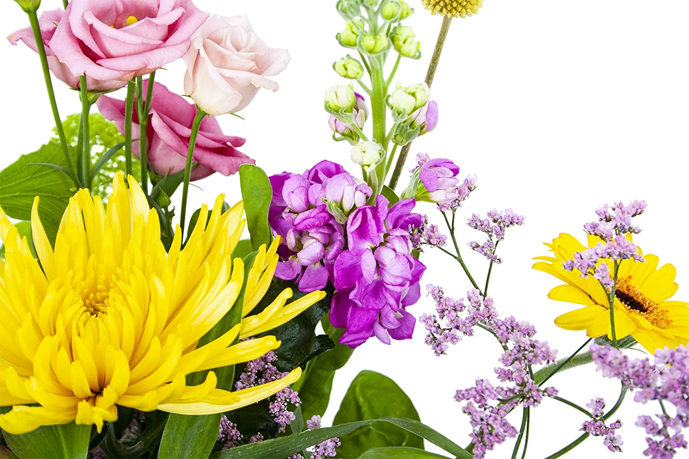 Boeket Eline Groot - Afbeelding 3