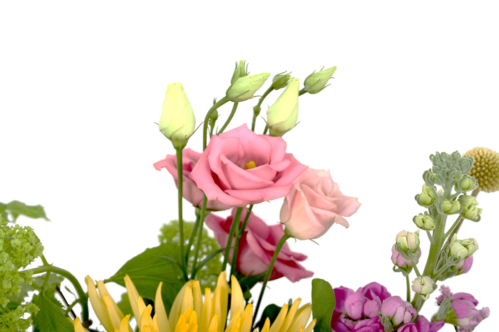 Boeket Eline Groot - Afbeelding 4