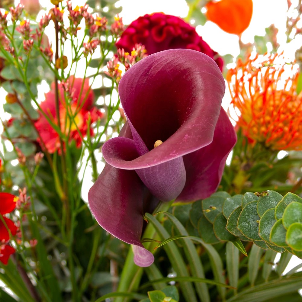 Boeket Herfst Warmte Middel - Afbeelding 4