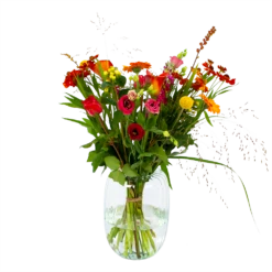 Boeket Hippe Herfst Klein