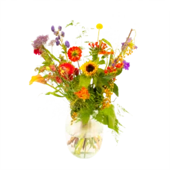 Boeket Plukgeluk Middel