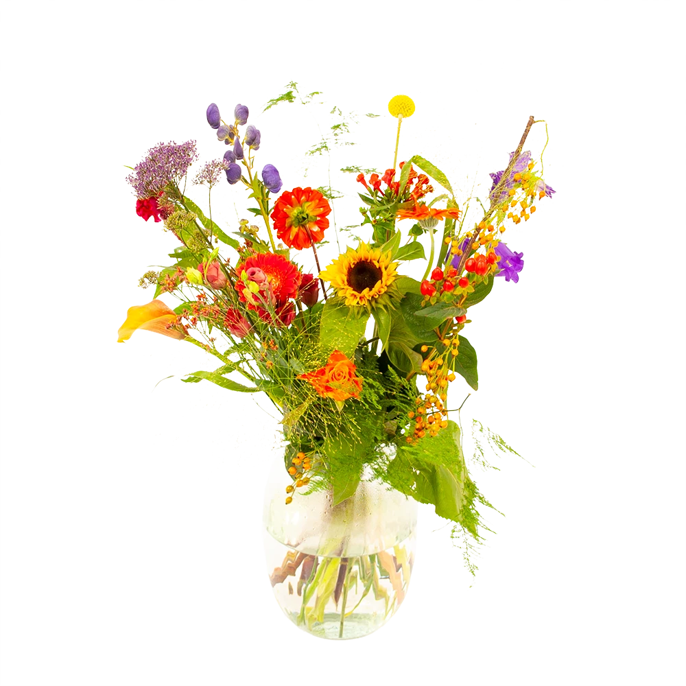 Boeket Plukgeluk Middel