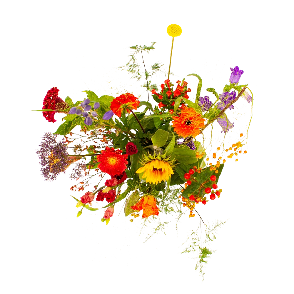 Boeket Plukgeluk Middel - Afbeelding 2