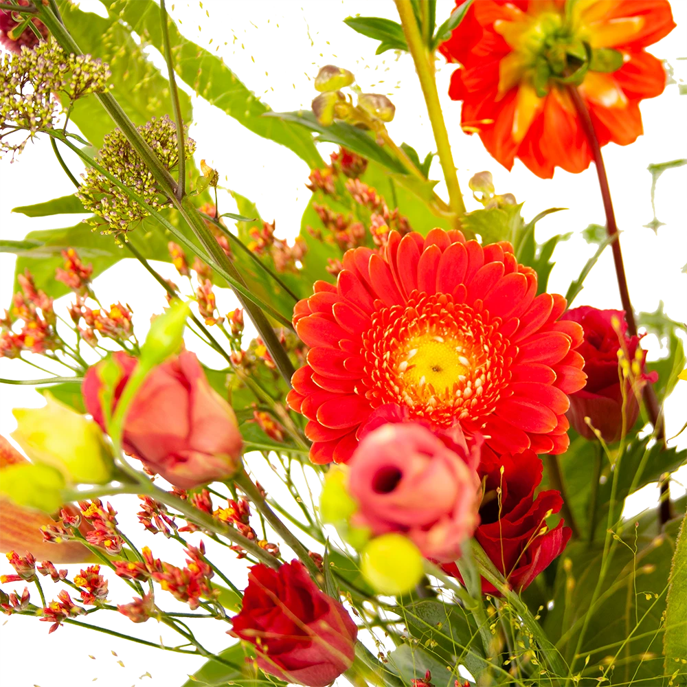 Boeket Plukgeluk Middel - Afbeelding 3