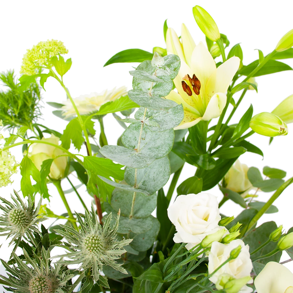 Boeket Wit Gebaar Middel - Afbeelding 3